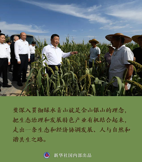 長(zhǎng)圖3_副本.jpg